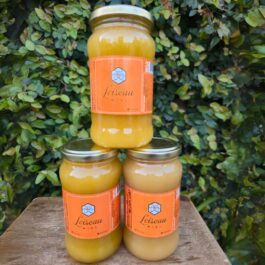 Miel Cruda Frasco de Vidrio 500g