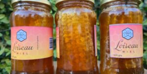 Lee más sobre el artículo Miel con Trozos de Panal: Un Producto Único de Miel Loiseau