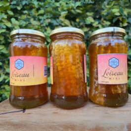 Miel con trozos de panal