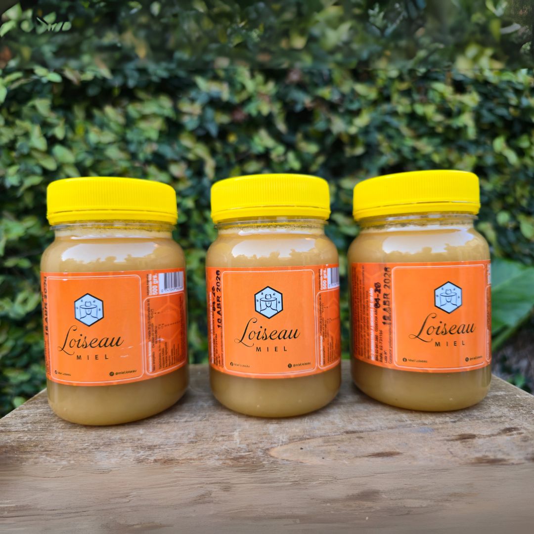 Miel Cruda Pote PET 500g - Imagen 3