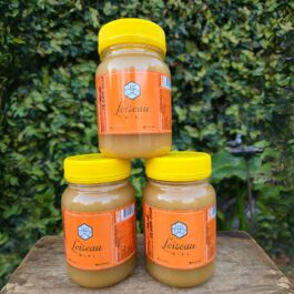 Miel Cruda Pote PET 500g