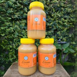 Miel Cruda Pote PET 1Kg