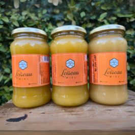 Miel Cruda Frasco de Vidrio 500g